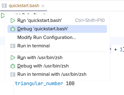 Launching the debugger using a line marker
