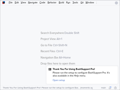 Notification to configure BashSupport Pro